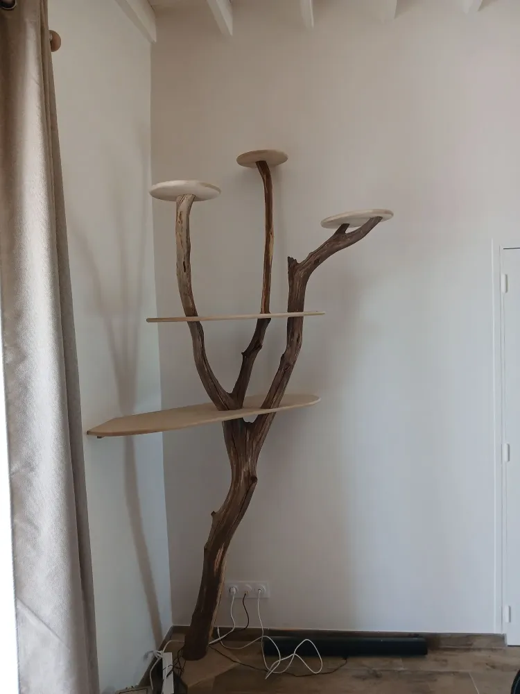 Charpente, Menuiserie, Terrasse et Aménagement en Normandie (2)